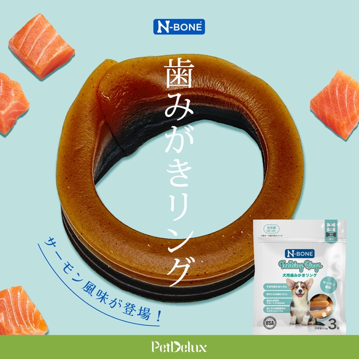 N-BONE(Nボーン)犬用歯みがきリング <サーモン風味>