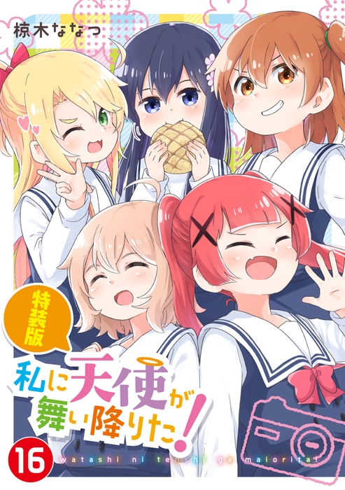 『私に天使が舞い降りた!』第16巻 特装版
