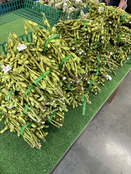 枝豆掴み放題 イメージ