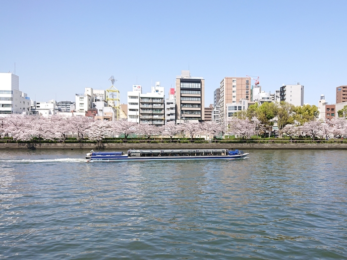 全天候に対応できる屋根付きの船で巡ります。