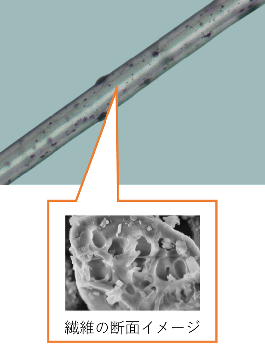 繊維の断面イメージ