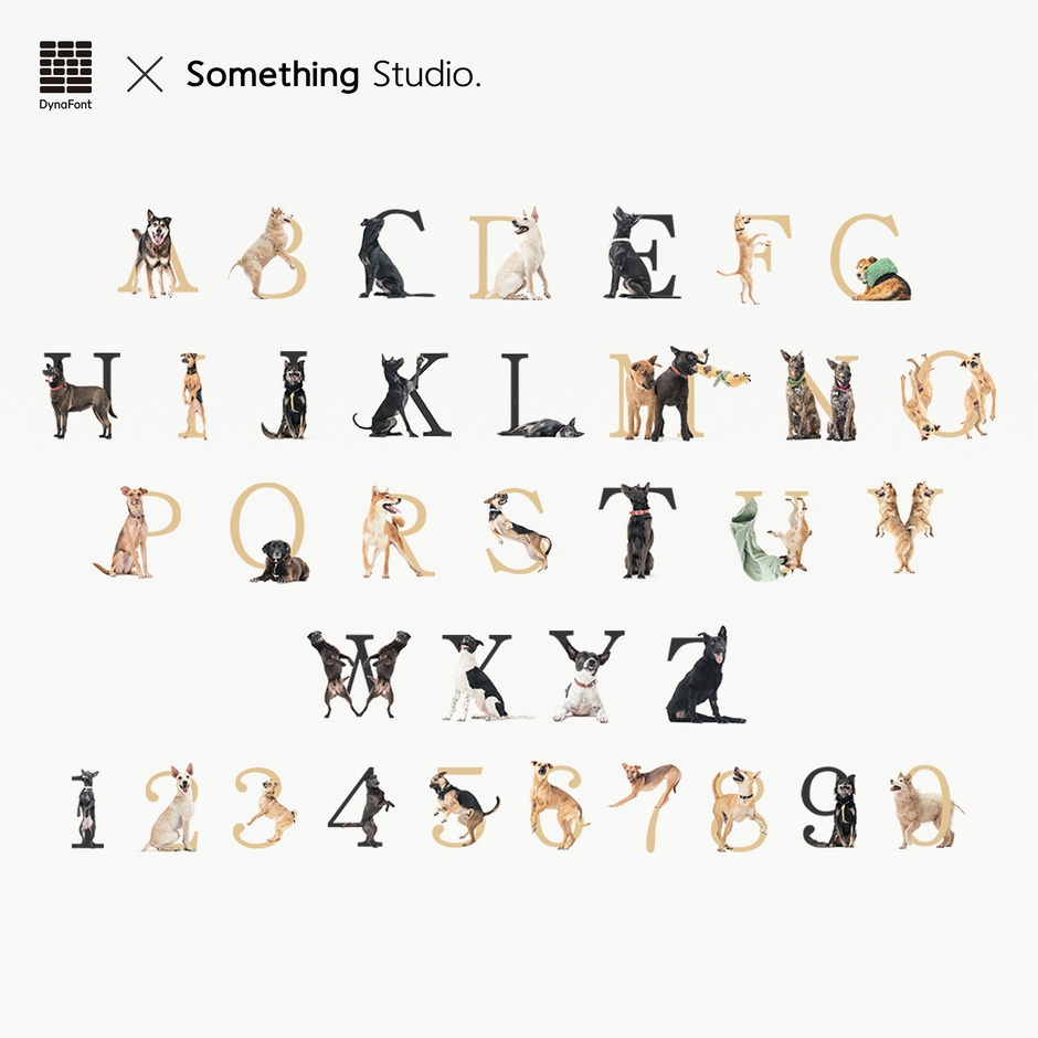 ダイナフォント×Something Studioコラボ書体
