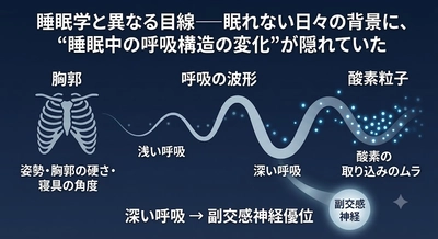 睡眠中の呼吸構造に新たな変化を確認──脳波中心の睡眠学では見えない体内環境の乱れを可視化。Apple Watchの睡眠データも検証