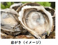 岩がき(イメージ)