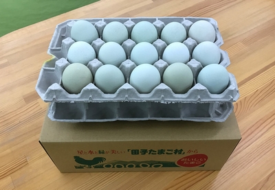 グルメ5位 田子たまご村/緑の一番星30個(トレイ入)