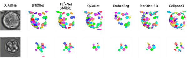 図2　3次元明視野顕微鏡画像の細胞核セグメンテーション結果