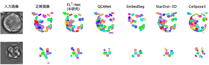 図2　3次元明視野顕微鏡画像の細胞核セグメンテーション結果