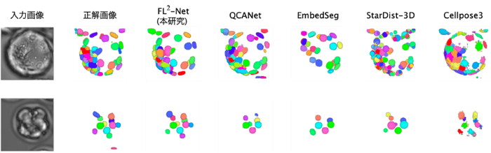 図2　3次元明視野顕微鏡画像の細胞核セグメンテーション結果