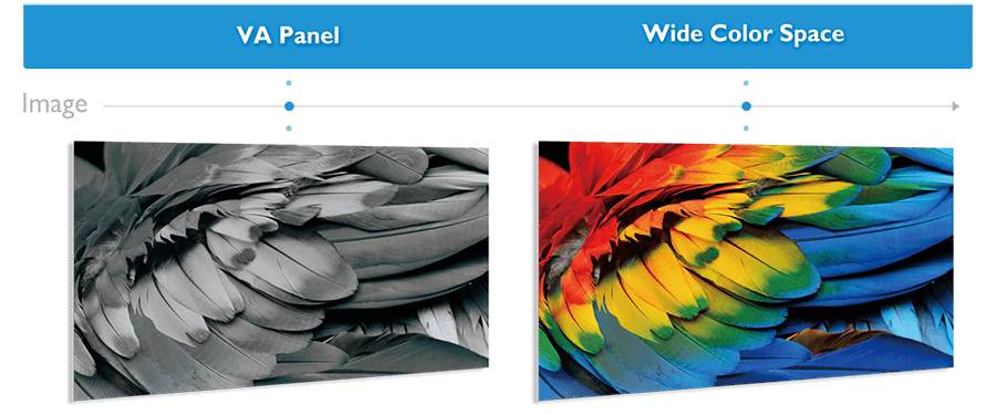 VAパネル採用/DCI-P3カバー率95%