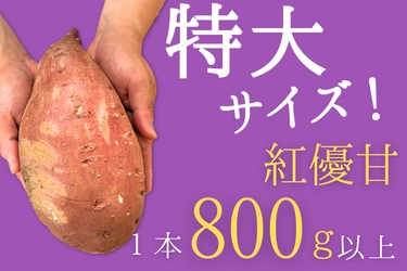 茨城県「いいものいっぱい広場」ショップの商品 約200点が「お客様送料負担なし」で販売中！