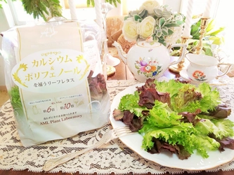 手軽に美味しくカルシウムとポリフェノールを補給できる、 栄養と彩り豊かなミックス水耕栽培レタスが2022年1月に発売！