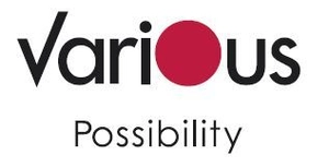 株式会社Various-Possibility
