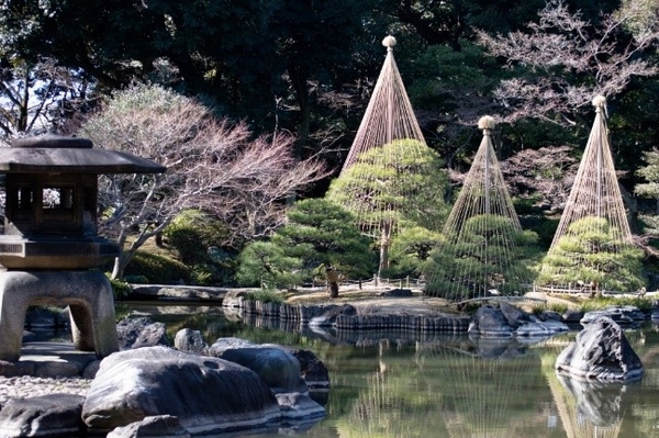 日本庭園の冬の風物詩・雪吊り（過去の様子）