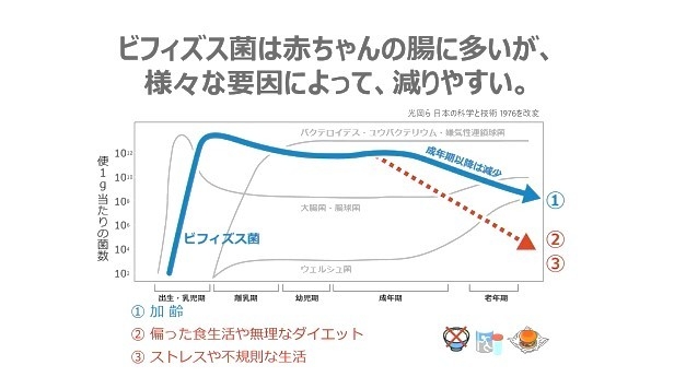 加齢によるビフィズス菌の減少