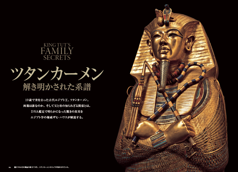 『ツタンカーメン100年』中面