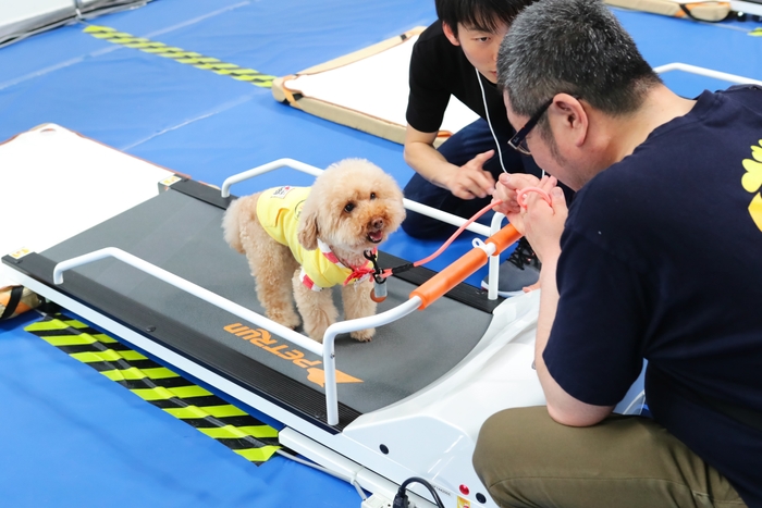 ドッグランナーでワンちゃんと運動!