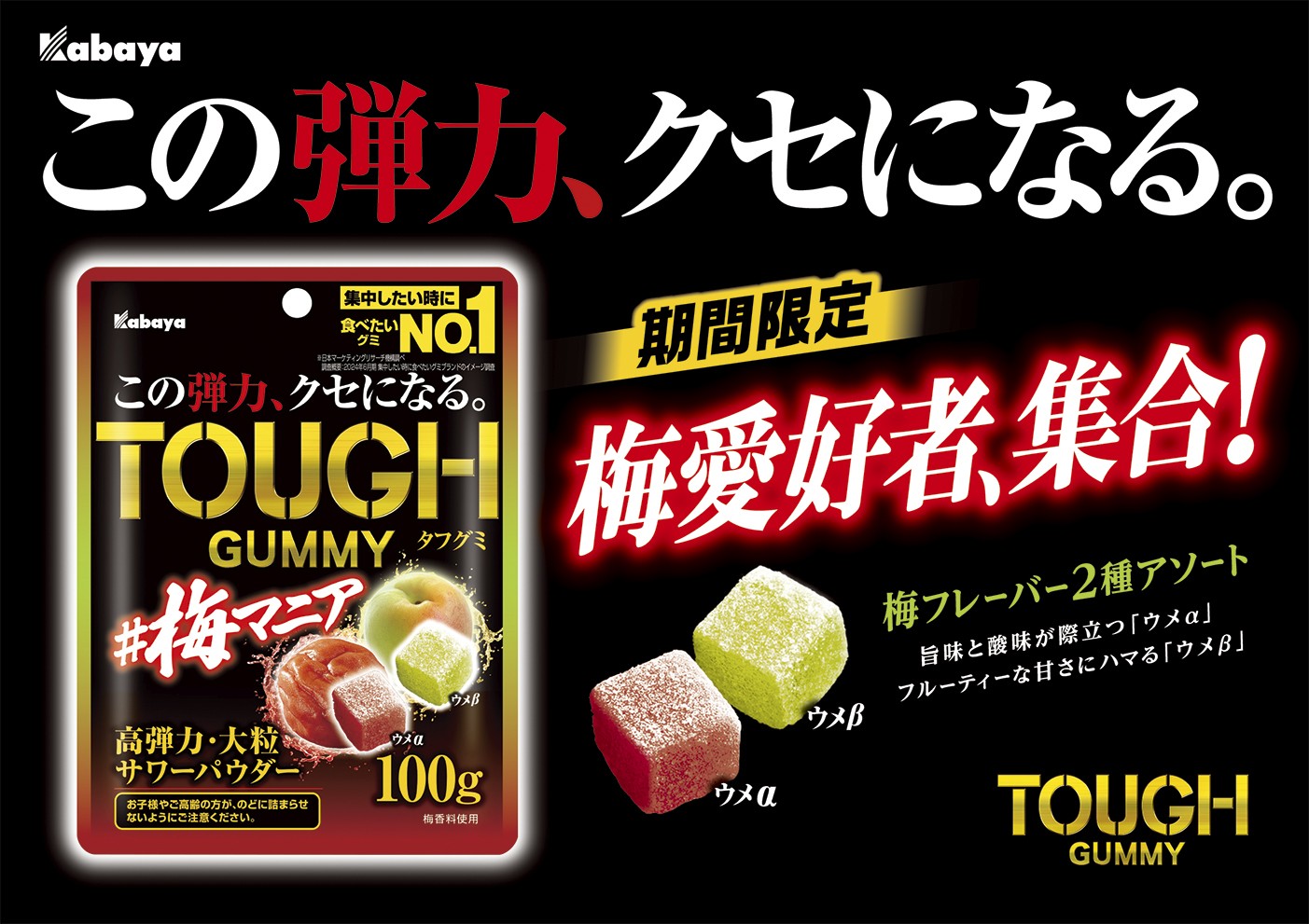 スペシャル特典 思わず誰かとシェアしたくなる！ ギョーザのようなミニチュア スイーツ・ガム