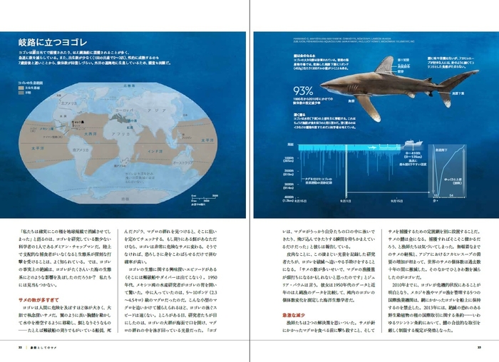 『真説・サメ 謎に満ちたすごい生態』中面