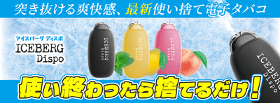 ICEBERG Dispo