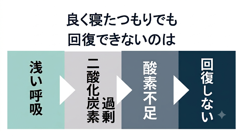 眠りづらさの正体──シリーズ第三回 浅い呼吸が"二酸化炭素過剰"を生み、爆睡型の危険な眠りをつくる構造を解説