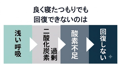 眠りづらさの正体──シリーズ第三回 浅い呼吸が"二酸化炭素過剰"を生み、爆睡型の危険な眠りをつくる構造を解説