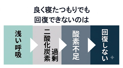 眠りづらさの正体──シリーズ第三回 浅い呼吸が"二酸化炭素過剰"を生み、爆睡型の危険な眠りをつくる構造を解説