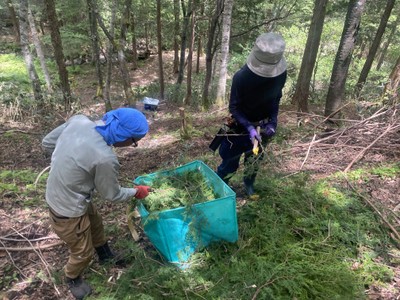 山で仕分け作業