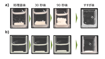 図　カルシウムと結合したケラチンの膨潤状態変化