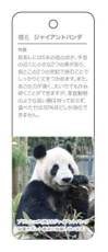 2.上野動物園キャンペーン