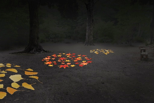 滝見茶屋横の広場(イメージ)