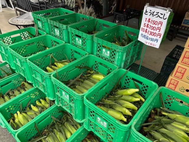軒先テント市 とうもろこし
