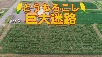 「とうもろこし巨大迷路」7/20オープン！ 庄内平野・日本海まで一望できる月山高原に期間限定出現