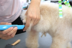 カット写真1