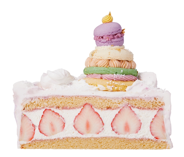 <アトリエサトコ>Noel de sapin マカロンとイチゴのクリスマスケーキ_断面