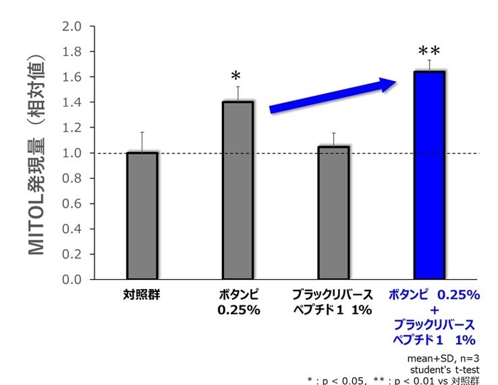 図5.「ボタンピエキス」×「ブラックリバースペプチド1」によるMITOL発現上昇