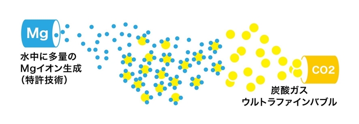 Mgイオンを炭酸ガスUFBに吸着