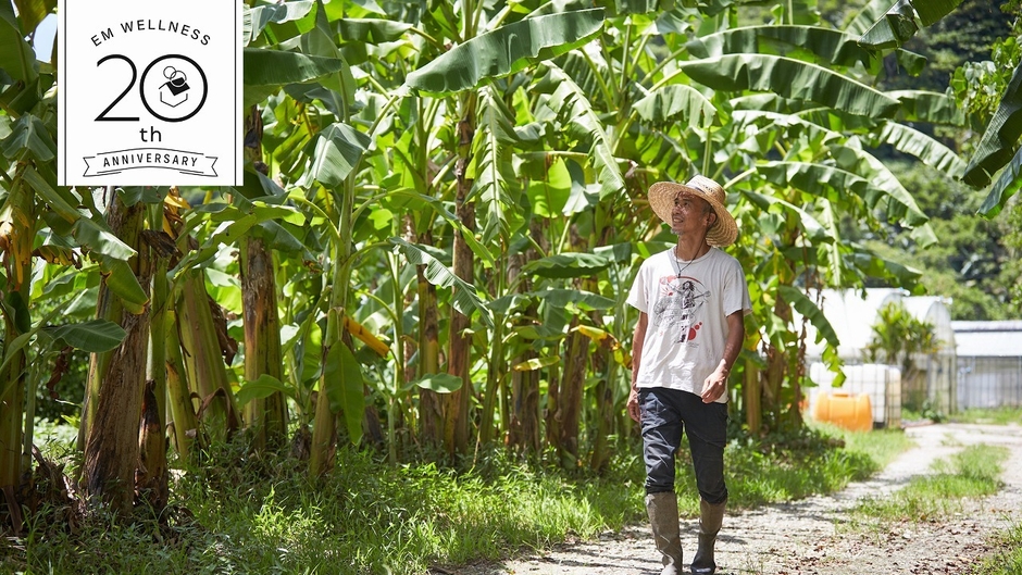 自社農場サンシャインファーム