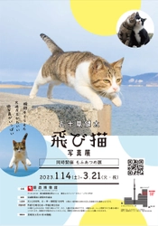 五十嵐 健太「飛び猫写真展」が2023年1月14日から 郵政博物館で開催、 ワークショップや猫フリマなど関連イベントの開催が決定