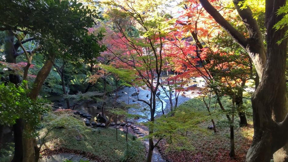 清水観音堂からのながめ（※イメージ）