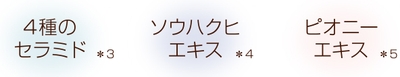 美容液81%!