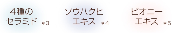 美容液81%!