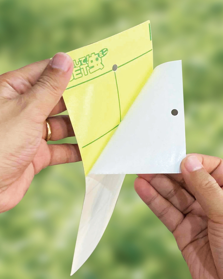 吊るしてGET虫ミニ 使用イメージ1