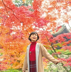 京阪沿線が紅葉の見頃を迎えています！