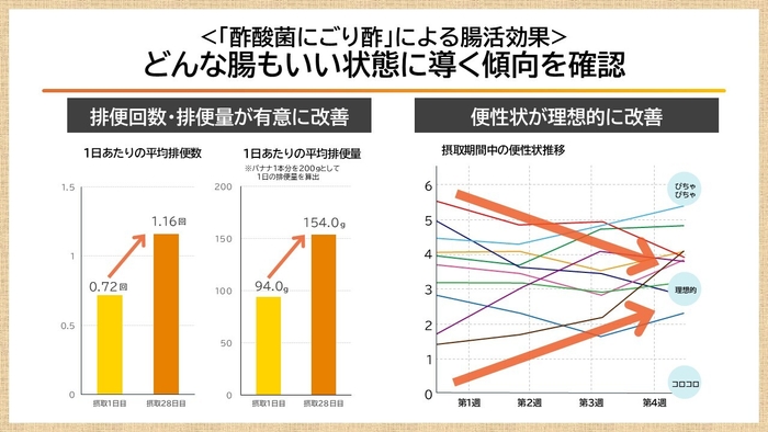 酢酸菌はどんな腸もいい状態に導く