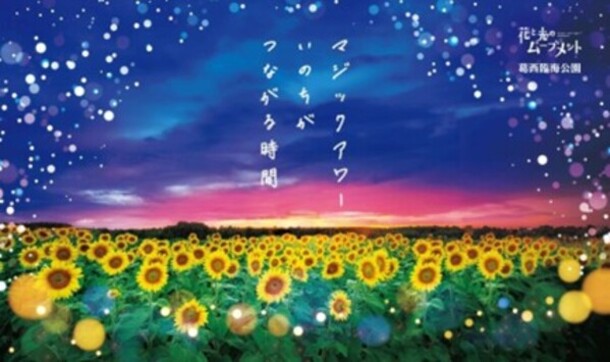 【葛西臨海公園】 7/31㈮~8/16㈰ 花と光のムーブメント「マジックアワー いのちがつながる時間」開催