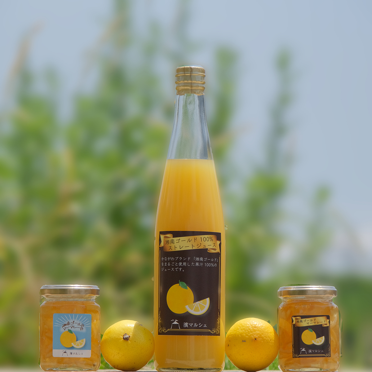 神奈川オリジナル柑橘「湘南ゴールド」を贅沢に使用！ マーマレード