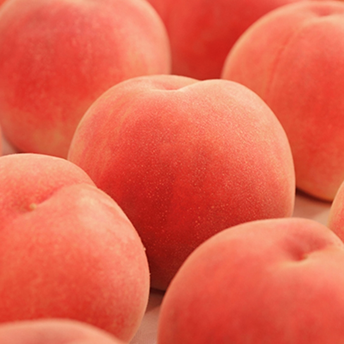 もも(あかつき)特秀 3kg 「献上桃の郷」ブランド認定品