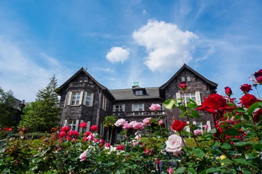 春を感じる都立公園・庭園・隅田川の写真を募集中！「春のTOKYO Instagramフォトコンテスト2025　～都立公園・庭園・隅田川でたのしむ春～」は5/18(日)まで！