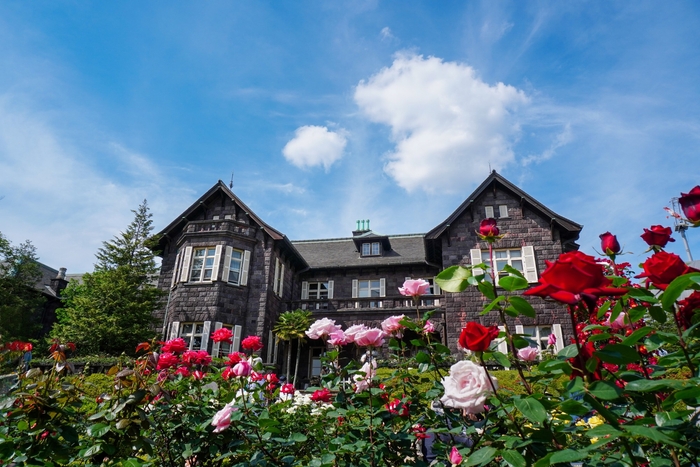 過去の同フォトコンテスト入賞作品(旧古河庭園)