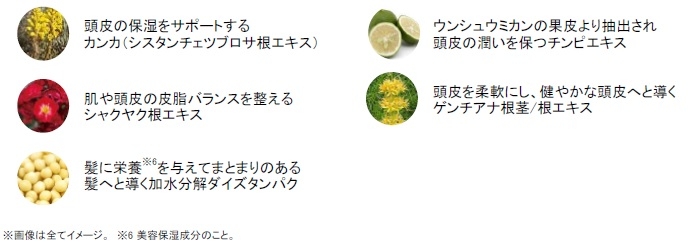 累計販売本数170万本 1 突破の人気シリーズがリニューアル たった3分 2 で白髪を着色する ラボモ スカルプアロマ ヘアカラートリートメント ルミエ 新発売 Newscast